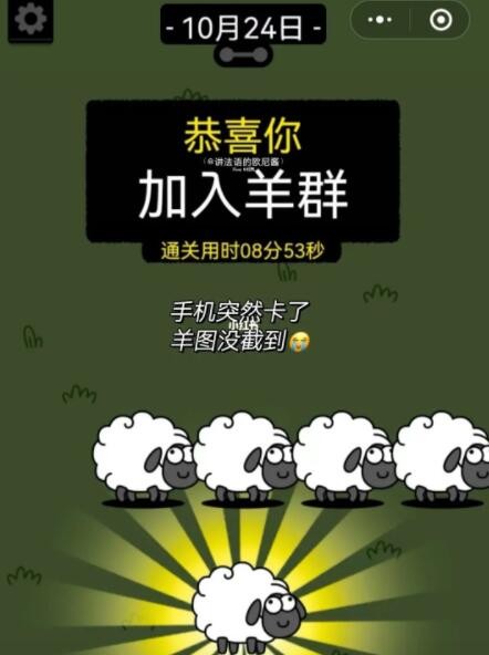 羊了个羊10.24第二关如何过 10月24日第二关通关教程大全