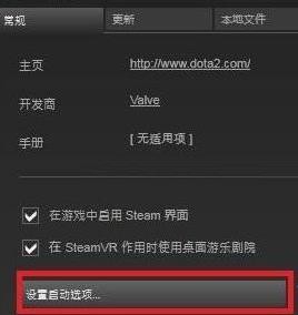 2021《dota2》国服启动项怎么设置