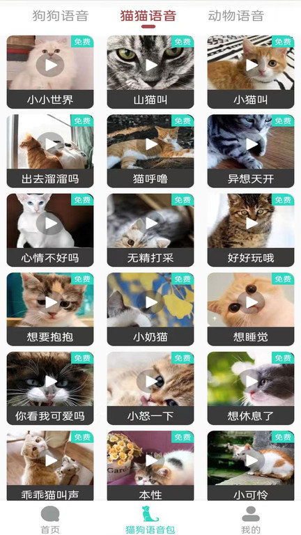 多多猫语狗语翻译器app