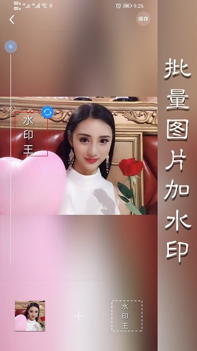 水印王app