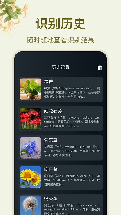 拍照识花大师app