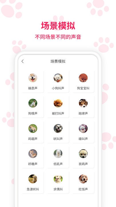 动物翻译app