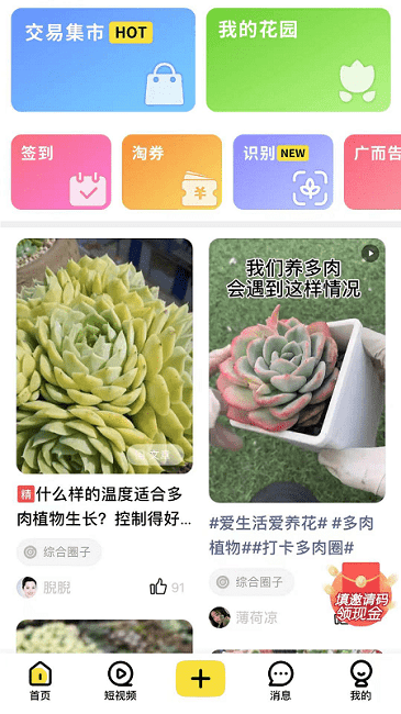 多肉圈app