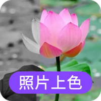 照片上色app