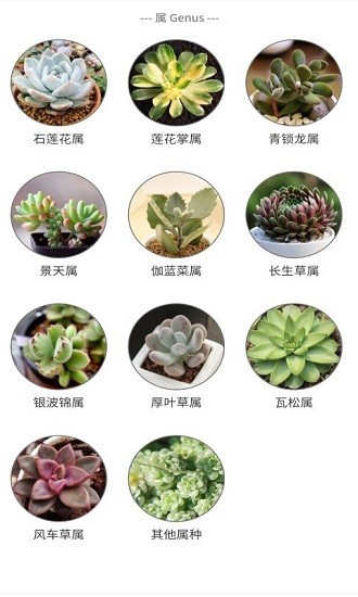 嘟嘟多肉植物鉴app