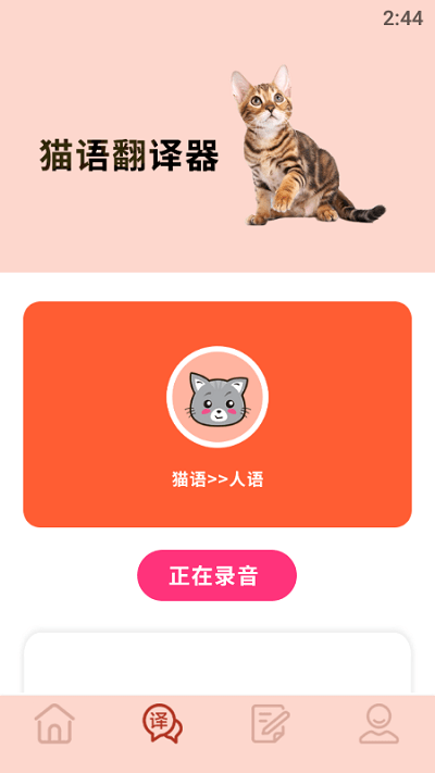 摸摸小猫app