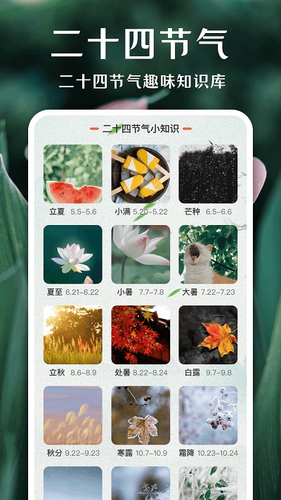 一键拍照识花app