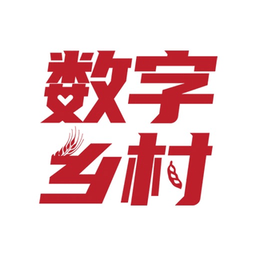 数字乡镇app