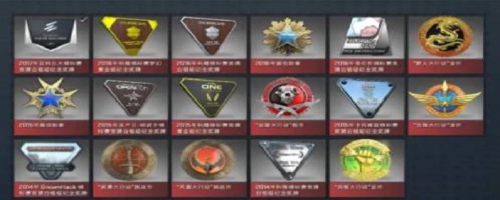 csgo胸章局内效果