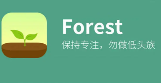 forest专注森林在哪里删除标签 删除标签操作具体教程