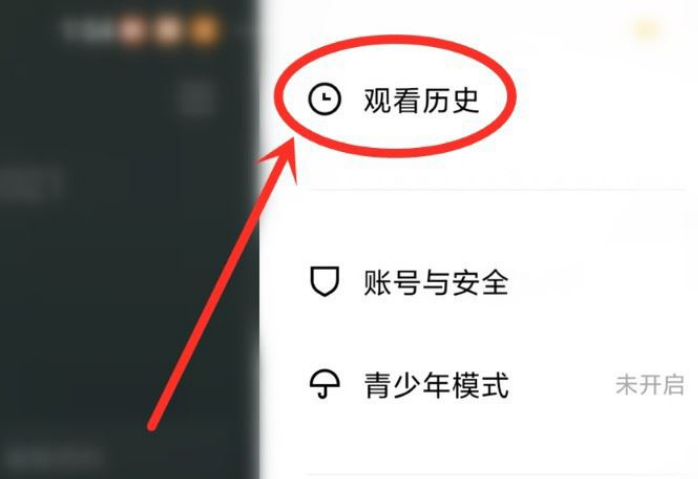 青桃APP在哪里删除浏览历史 删除历史记录步骤教程