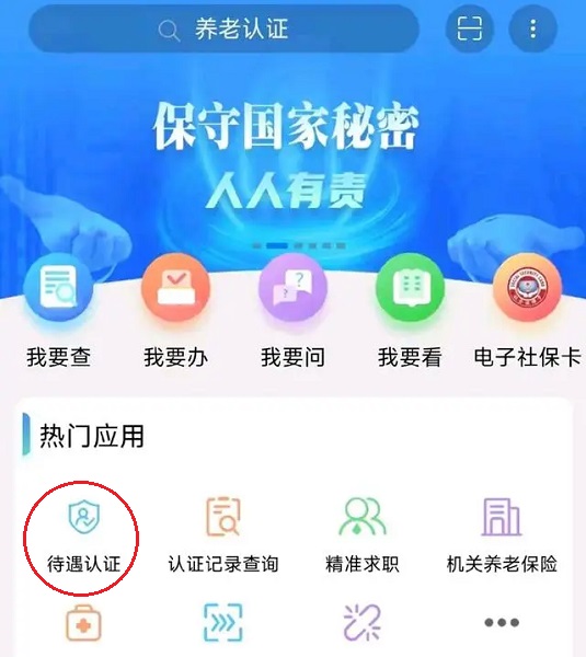 青海人社通养老认证