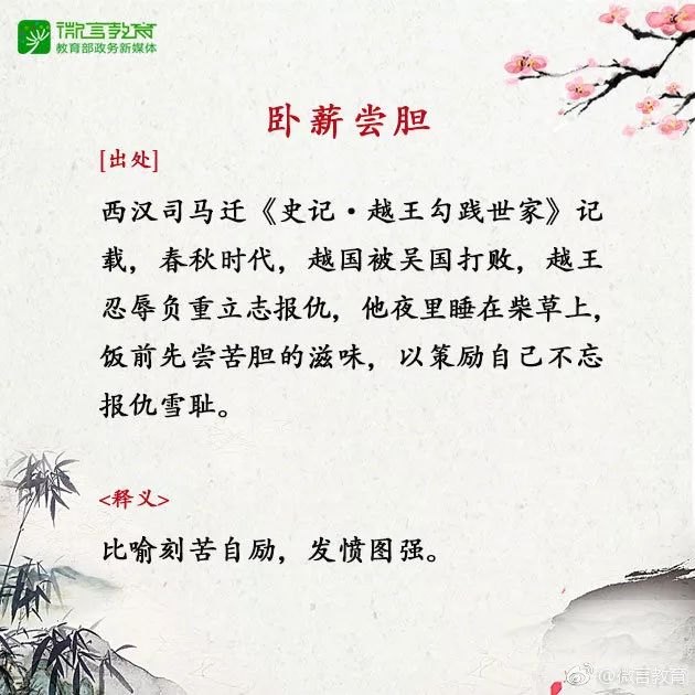 成语惨绿少年探源，解读背后的故事与启示