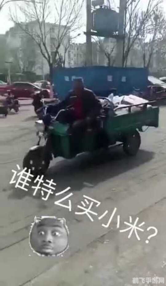 谁他妈买小米什么梗,网络热梗