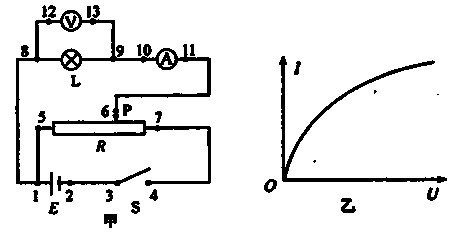 蹦蹦跳跳的实验体,实验体特性