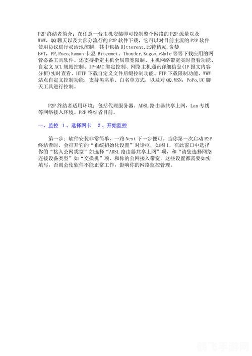 P2P终结者最新版全面解析与攻略