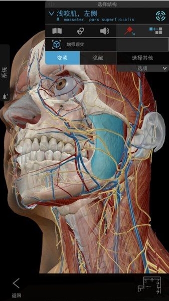 人体解剖学图谱APP