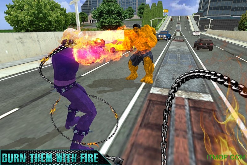 鬼火骷髅英雄游戏(Ghost Fire Skull Hero)