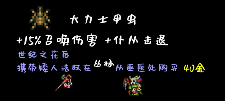 泰拉瑞亚召唤师饰品怎么获得 饰品获取方法