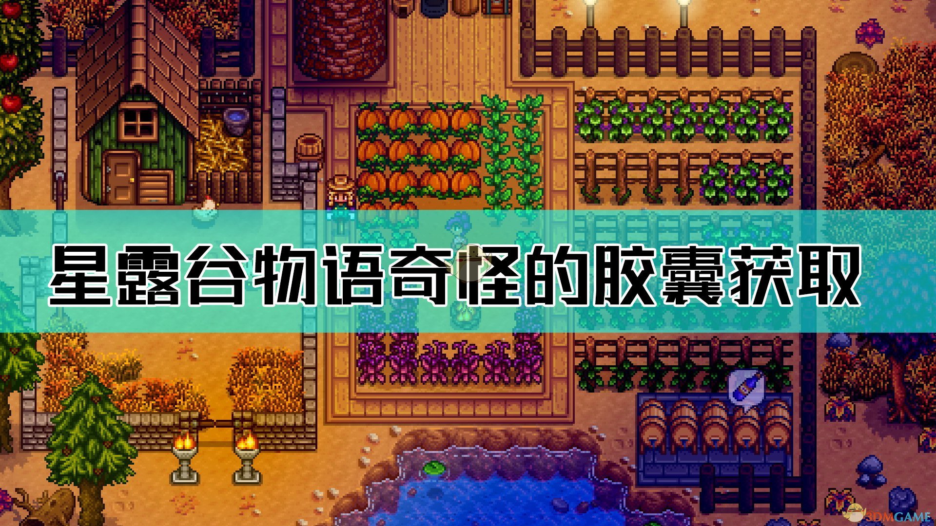 星露谷物语奇怪的胶囊获得攻略