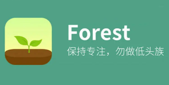 forest专注森林如何和好友一起种树 一起种树打法攻略