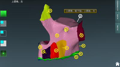 人体解剖学图集3D