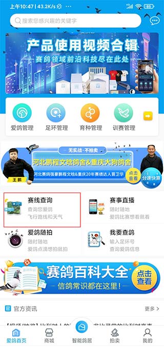 爱鸽者APP