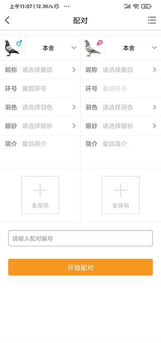 爱鸽者APP