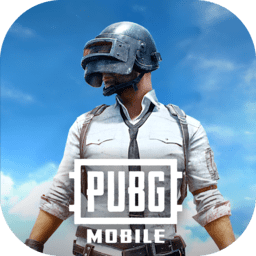 pubg地铁逃生国际服