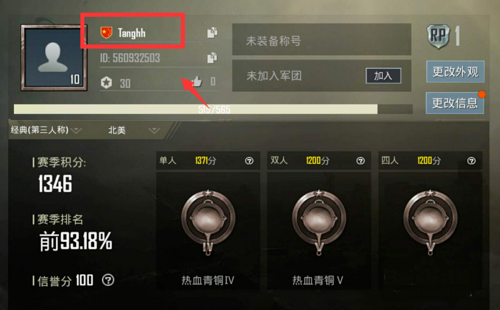 和平精英国际服pubg