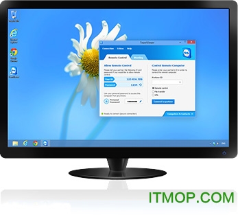 TeamViewer Portable