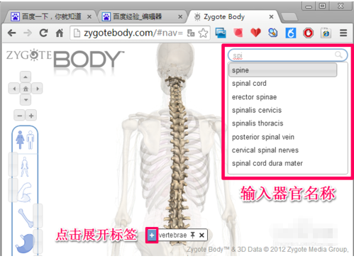 谷歌人体浏览器中文版