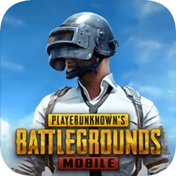 地铁逃生正式服(PUBG MOBILE)