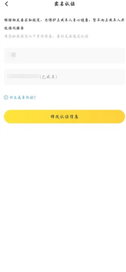 闪电龟游戏盒应用app